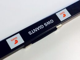 AFL AUSSIE RULES FOOTBALL GREATER WESTERN SYDNEY GIANTS Pool Snooker Billiard CUE CASE