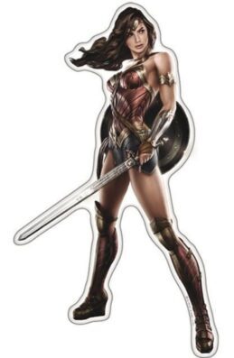 Batman v Superman Dawn of Justice Wonder Woman Car Character Domed Logo Sticker Emblem