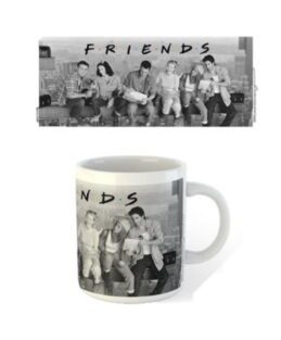 Friends Sitcom TV Series Lunch On A Girder Coffee Mug Cup