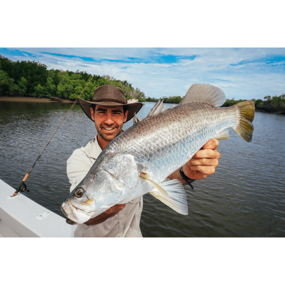 Shimano Curado M Baitcast Fishing Reel Sizes 200 to 201 4 Shimano Curado M Baitcast Fishing Reel Sizes 200 to 201 - Image 4