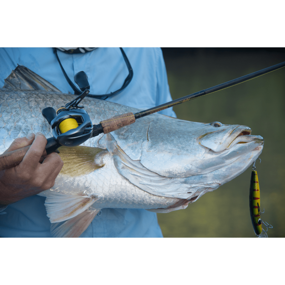 Shimano Curado M Baitcast Fishing Reel Sizes 200 to 201 7 Shimano Curado M Baitcast Fishing Reel Sizes 200 to 201 - Image 7