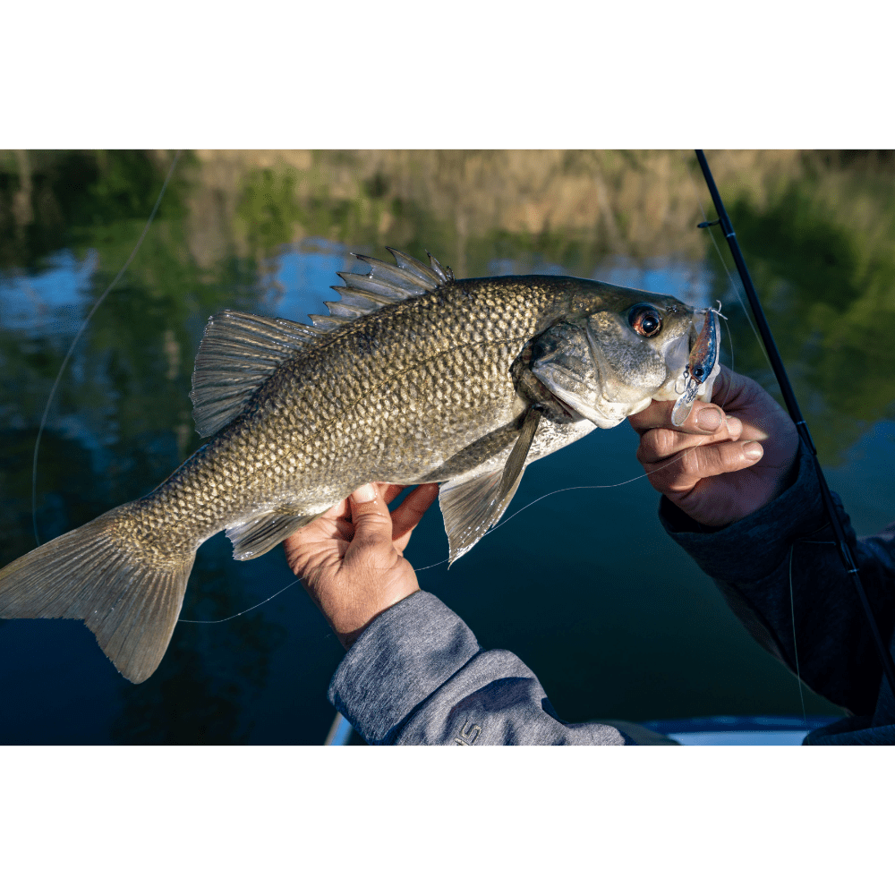 Shimano Sedona FJ Spinning Fishing Reel Sizes 1000 to 5000 3 Shimano Sedona FJ Spinning Fishing Reel Sizes 1000 to 5000 - Image 3
