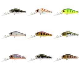 Zip Baits Hard Body Fishing Lure Rigge Deep 35 F