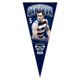 Jeremy Cameron Geelong Cats AFL Player Pennant Banner