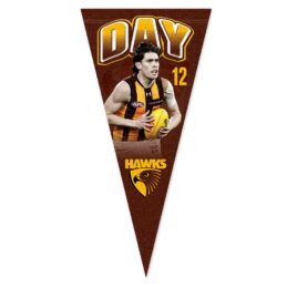 Will Day Hawthorn Hawks AFL Player Pennant Banner
