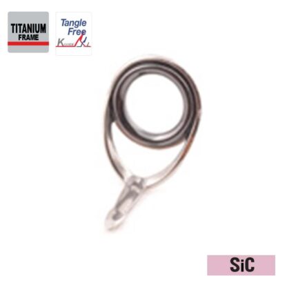 Fuji SiC guides