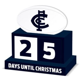 Carlton Blues AFL Christmas Countdown Blocks Official Wooden Advent Gift