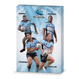 Cronulla Sharks NRL 4 Player Wall Canvas